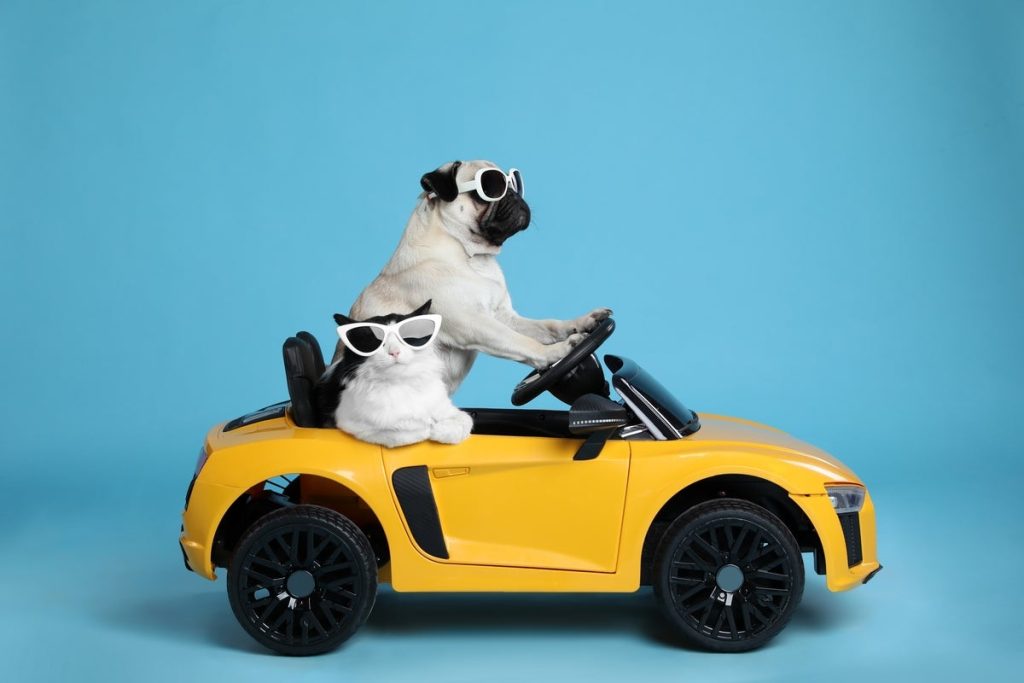 Desenvolvimento web full-stack com HTMX e Bun, Parte 2: modelagem Pug