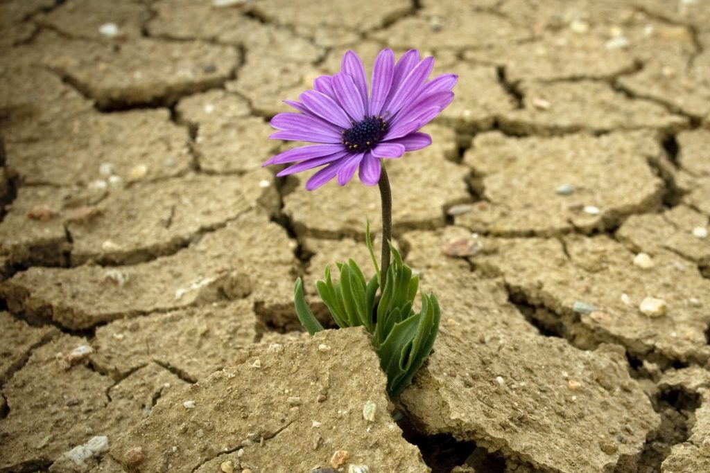 Como implementar resiliência de conexão de banco de dados no ASP.NET Core