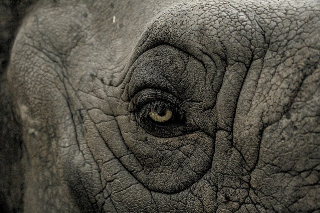EDB revela EDB Postgres AI