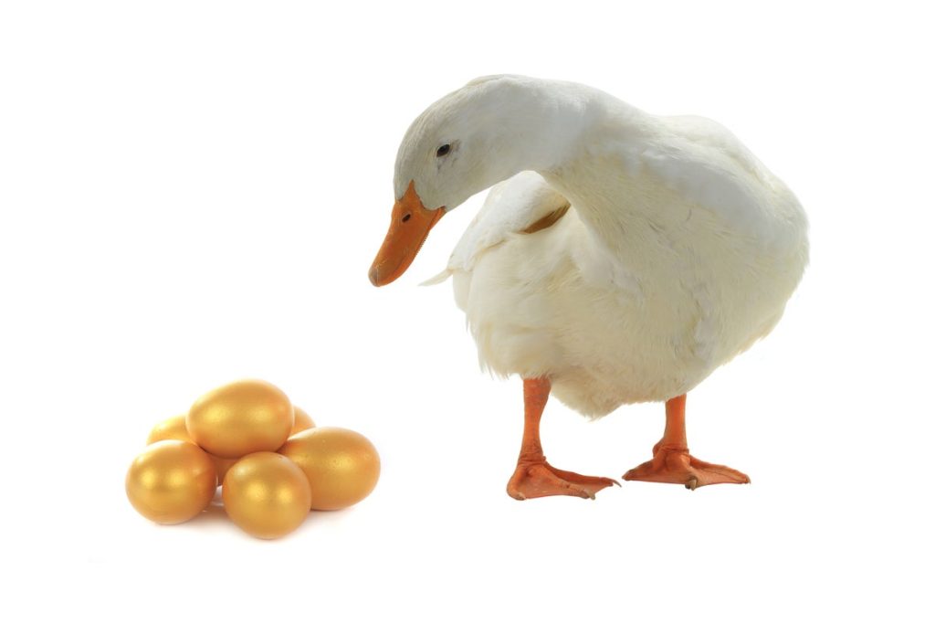 DuckDB: o pequeno mas poderoso banco de dados analítico