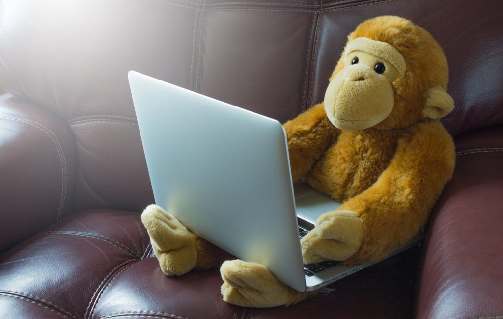 Escolha Python: Monkeytype automatiza dicas de tipo
