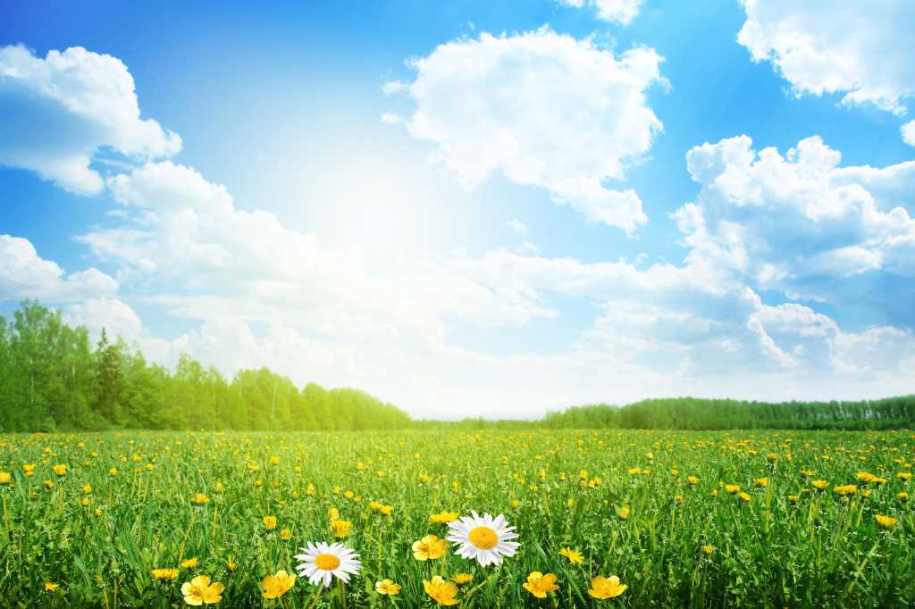 Todo o brilhantismo da IA ​​em plataformas minimalistas