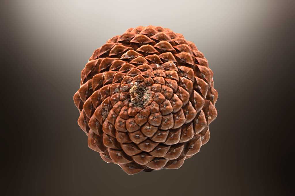 Microsoft anuncia o Pinecone .NET SDK
