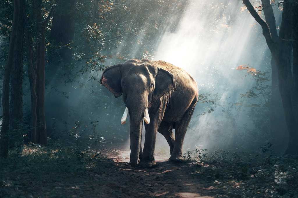 Usando PostgreSQL como um banco de dados vetorial no RAG