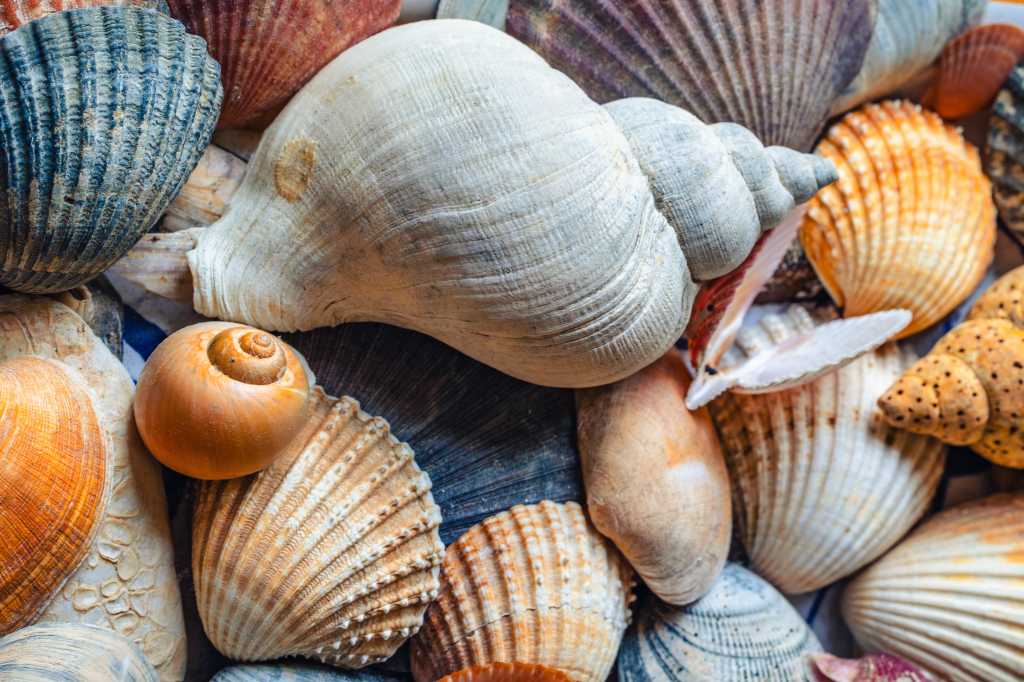 Análise estática proposta para programas de shell