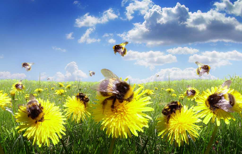 CloudBees revela a plataforma DevOps aprimorada por Ai-