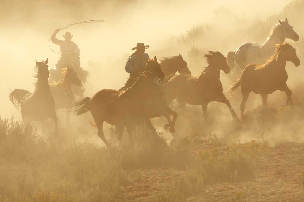 Como a imutabilidade domou o oeste selvagem