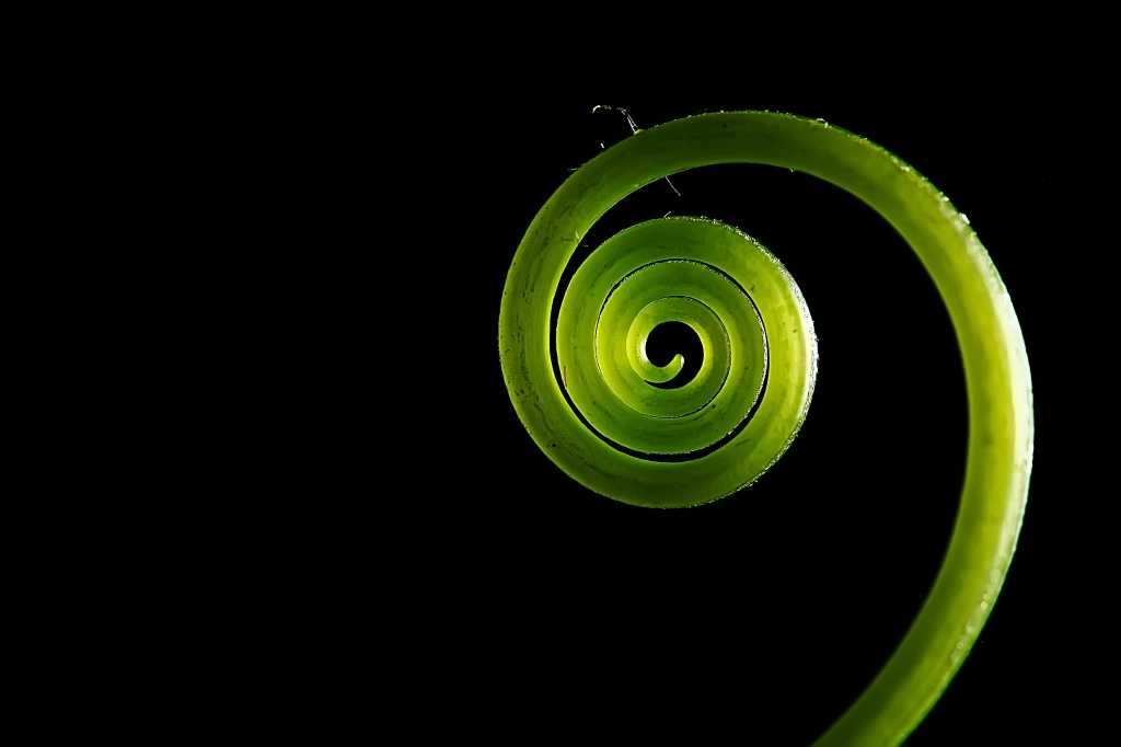 Uma nova visão do Spring Framework