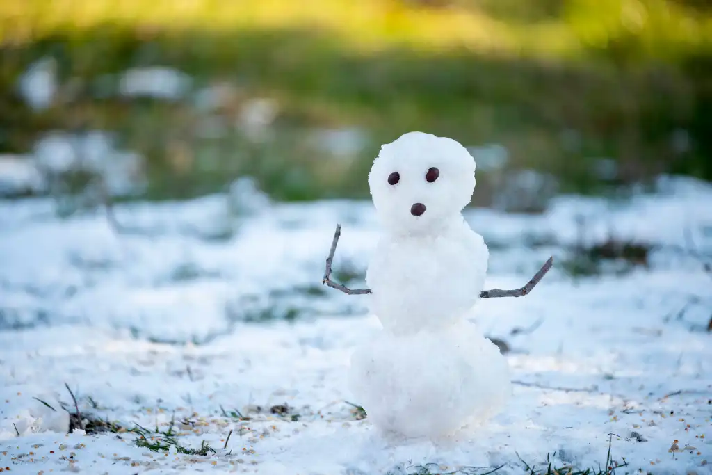A atualização do software Snowflake causou uma interrupção de 13 horas em 10 regiões