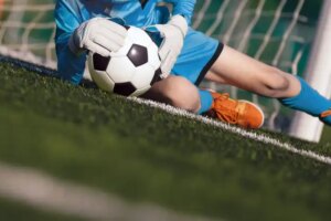 Um novo desafio para gerentes de produtos de software