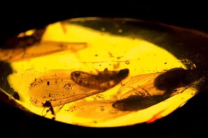 Pyrefly 1.0: um linter Python rápido e voltado para o futuro