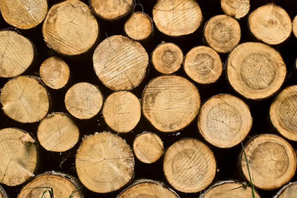 logs
