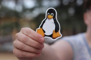 AI OK no desenvolvimento Linux, diz Torvalds