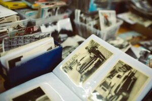 IA local em NPUs: Construindo um desduplicador de fotos sem nuvem com OpenCLIP