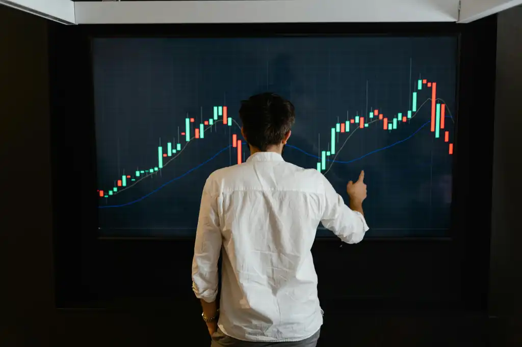 Person analyzing a pricing curve over time