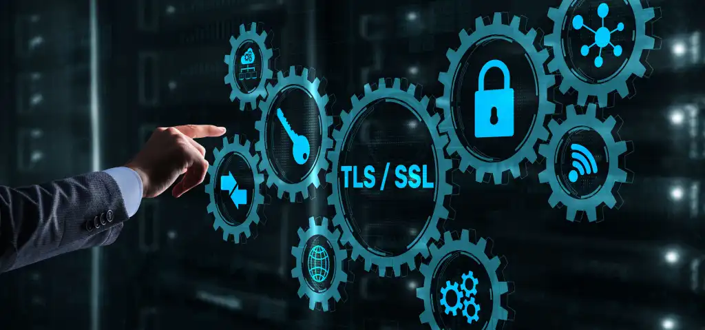 SSL TLS certificate security encryption Transport Layer Security